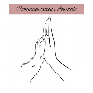 Communication Animale