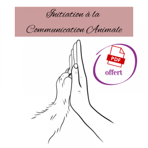 Initiation à la Communication Animale