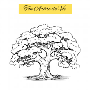 Numérologie - Ton Arbre de Vie